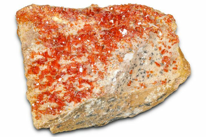 Glittering Ruby Red Vanadinite Crystals on Barite - Morocco #365786